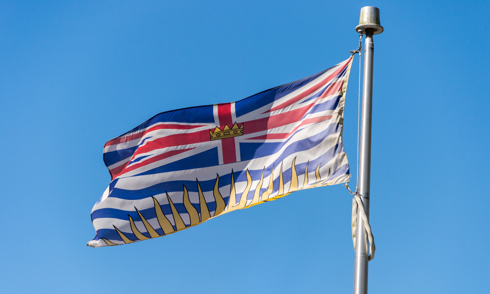 BC court awards costs against LSBC in rare move, says penalization of Vancouver lawyer was unfair