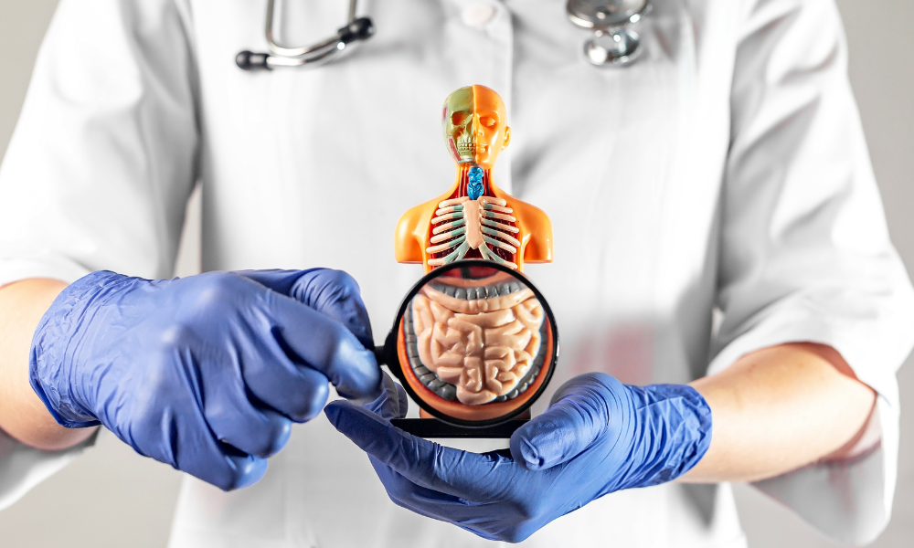 Manitoba Court of Appeal rules doctor's negligence didn't cause patient's death from cancer